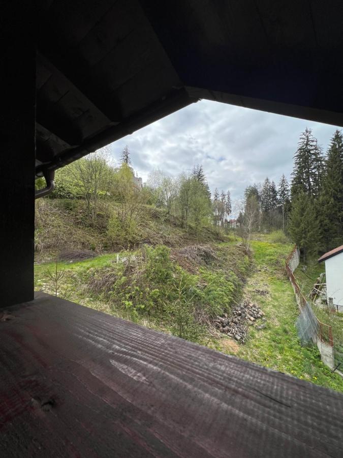 Pensiunea Zimbrul Poiana Brasov Exterior photo